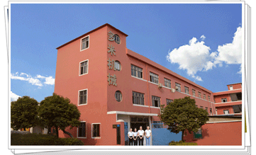 多米機(jī)械:改變世界新動(dòng)力，革新行業(yè)新格局